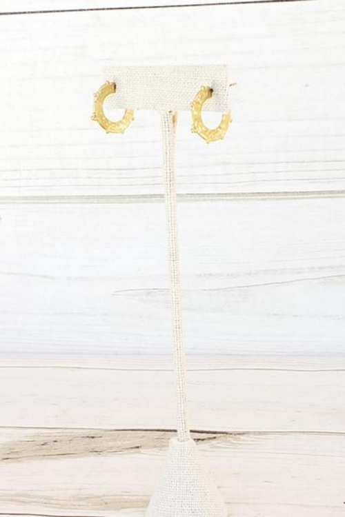 Virtue Jewelry Petite Studded Gold Hoops | Bella Lucca Boutique