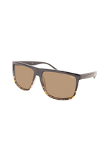 Evans Polarized Tortoise Sunglasses | Bella Lucca Boutique